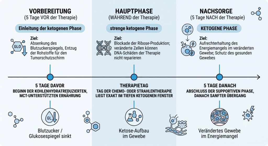Übersicht ketogene Ernährung vor, während und nach Therapie